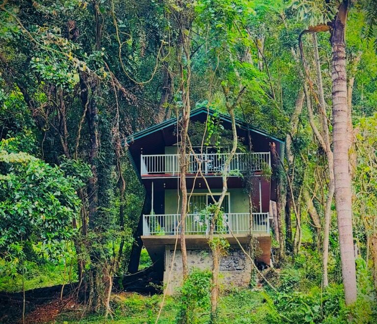 37c2a41a4b87707e4dd048f89be43a58a817ca63